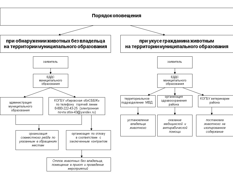 Отлов собак.